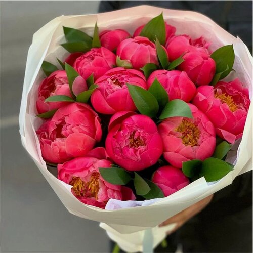 Изображение товара Букет из коралловых пионов 15 шт и рускуса, красивый букет цветов, шикарный, премиум цветы, премиум букет