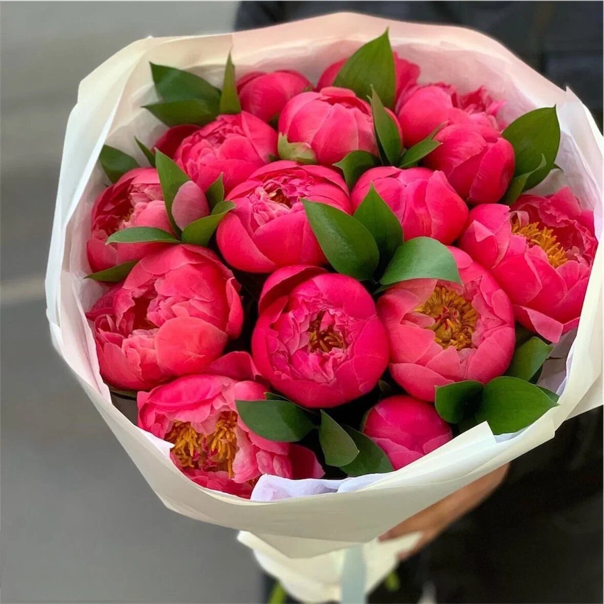 Букет из коралловых пионов 15 шт и рускуса, красивый букет цветов, шикарный, премиум цветы, премиум букет