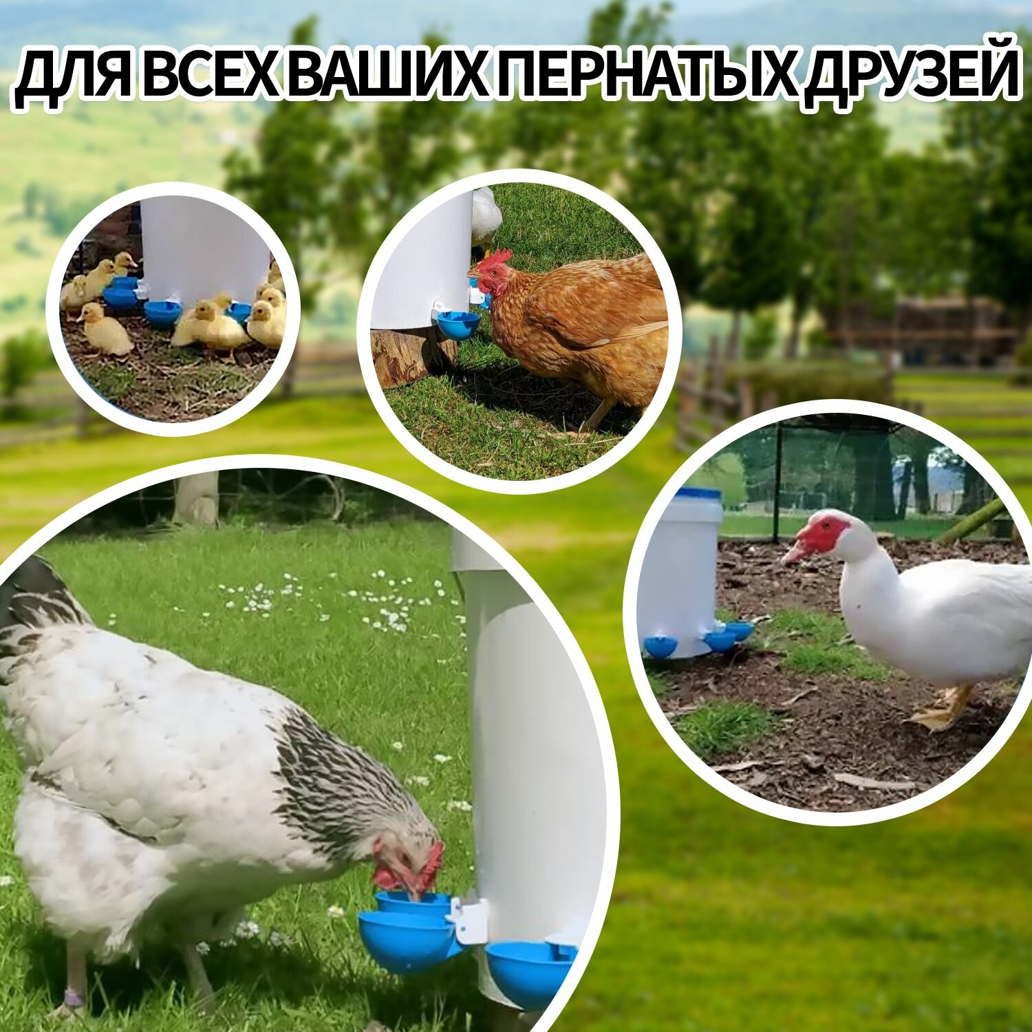 Автопоилка — фото 1