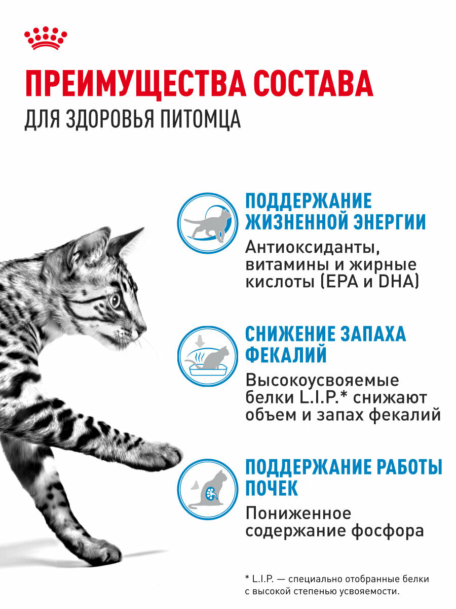 Сухой корм для кошек Royal Canin Indoor 7+ для живущих в помещении, 0,4 кг — фото 1