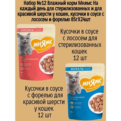 Набор №12 Влажный корм Мнямс для стерилизованных кошек, кусочки в соусе с лососем и форелью, 24 шт х 85 гр