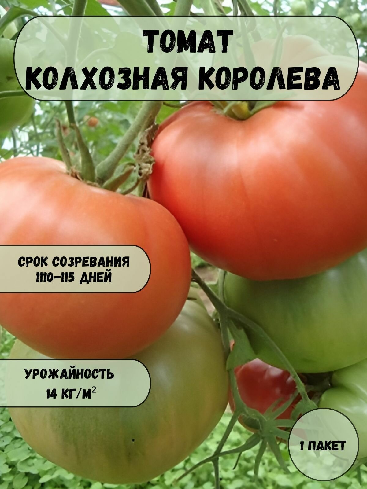 Коллекционные семена томата Колхозная королева семена 10 шт