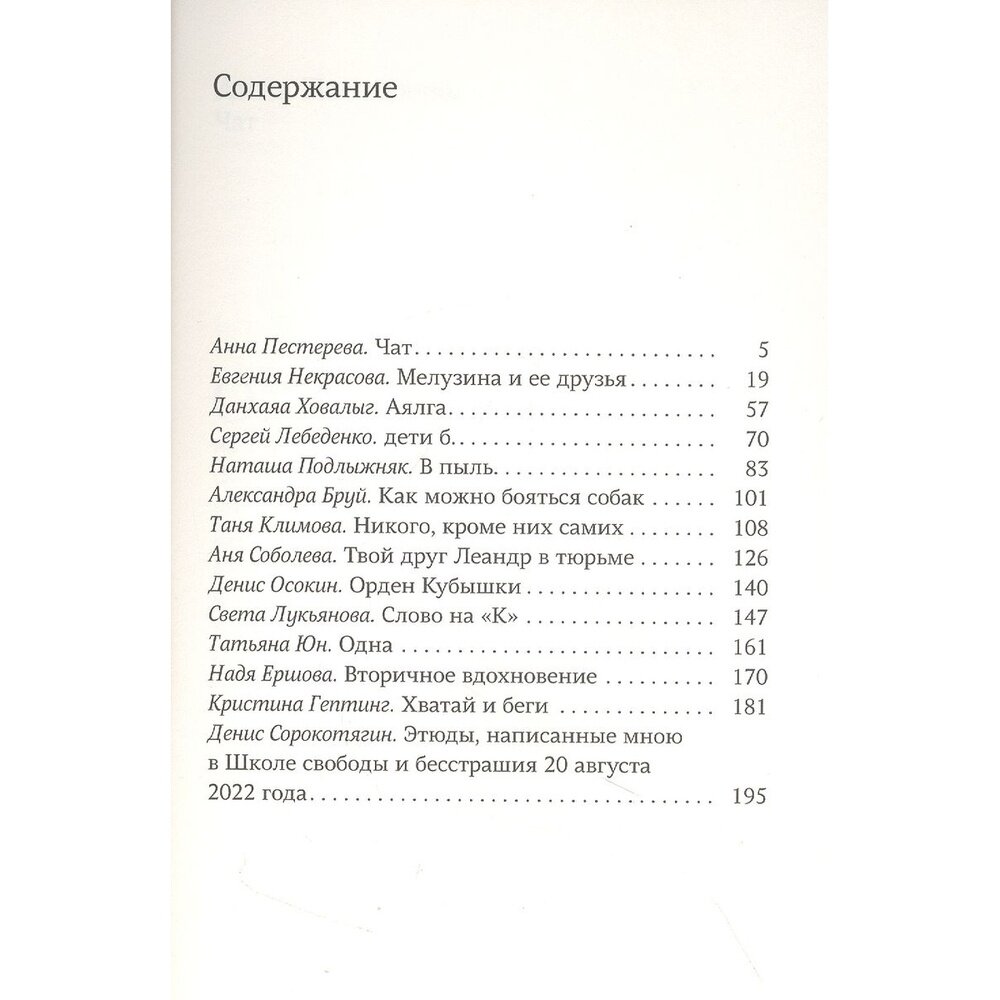 Сообщники. Сборник рассказов (Анна Пестерева, Евгения Некрасова, Данхаяа Ховалыг, Сергей Лебеденко, Наташа Подлыжняк, Александра Бруй, Таня Климова, Аня Соболева, Денис Осокин, Света Лукьянова, Татьяна Юн, Надя Ершова, Кристина Гептинг, Денис Сорокотягин.) - фото №5