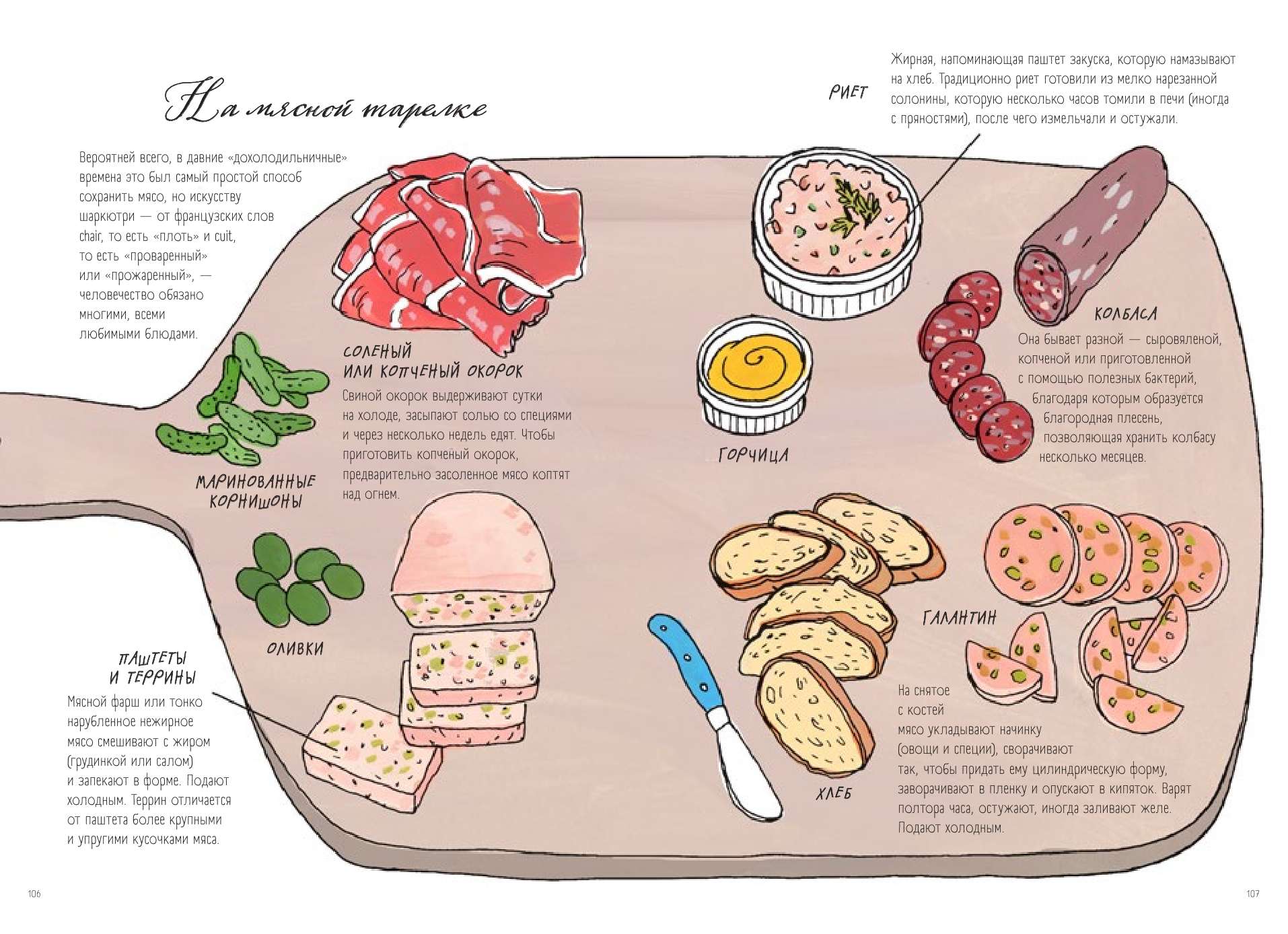 Анатомия еды. Занимательное едоведение - фото №7
