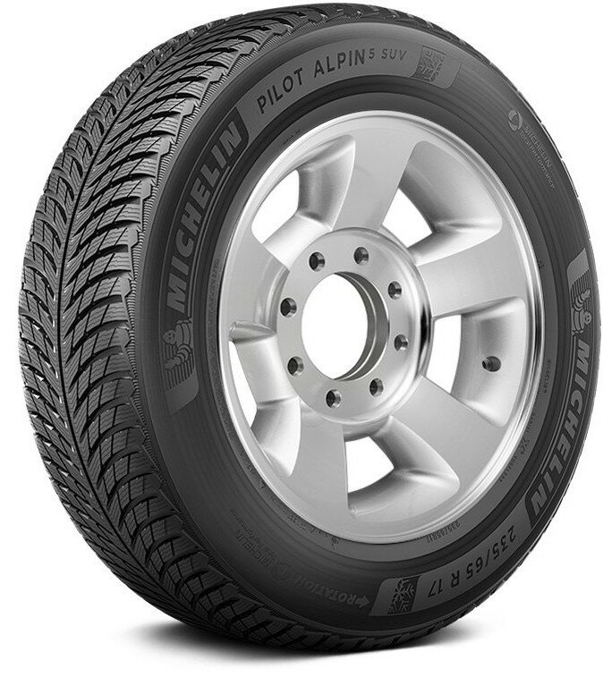 Шина Michelin Pilot Alpin 5 255/40 R19 V 100 - фото №18