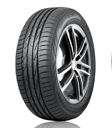 Шины 205/55 R17 Nokian Tyres Hakka Blue 3 95V XL