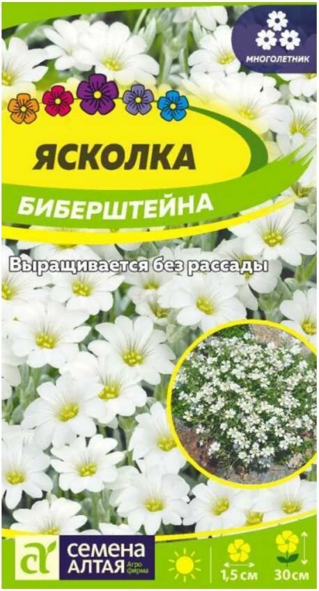 Цветы Ясколка Биберштейна/Сем Алт/01г