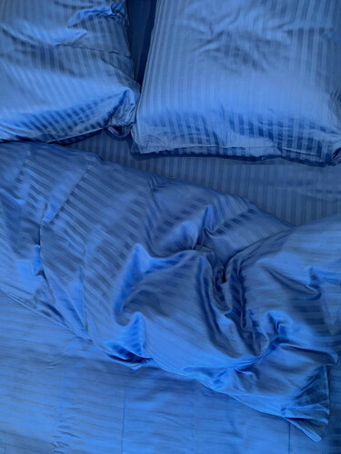 Изображение товара Простыня на резинке Страйп-сатин 100 % Хлопок 160х200 Василек