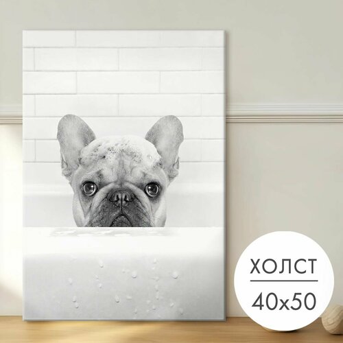 фото Картина на холсте "бульдог французский в ванной" 40x50 на стену для интерьера 28 kartin
