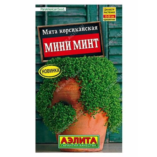 Семена. Мята корсиканская "Мини минт", однолетник (драже в пробирке, 3 штуки) зеленый