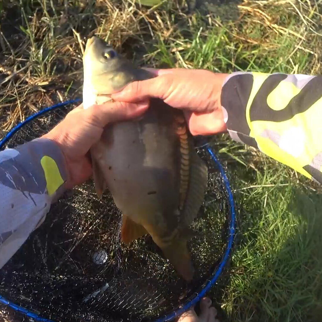 Поводковый материал для рыбалки AQUA Carp Agex3 Ил/Глина 15m 7.0 kg/15.4 lb — фото 1