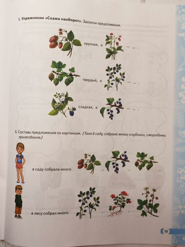 Теремкова. Логопедические домашние задания для детей 5-7 лет с ОНР. Комплект из 3-х альбомов — фото 1