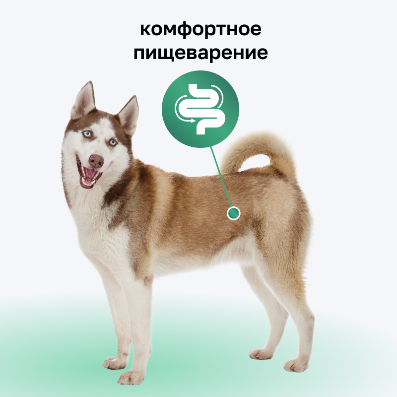 Organix консервы для собак с говядиной и рубцом, влажный корм, 750 гр. — фото 1