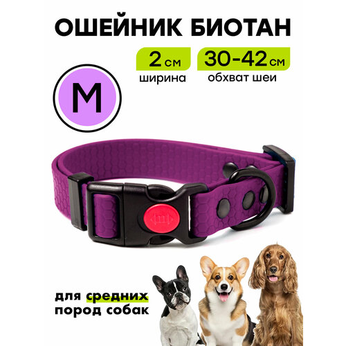 Ошейник из биотана 30-42 см (M), 20 мм, Woofy "Iron" водостойкий, для средних собак, фиолетовый