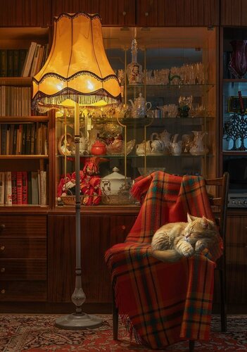 Изображение товара Фрея PZL-1000/46-UF51 Пазл 1000 элементов Вечерний уютспокойное время за сборкой