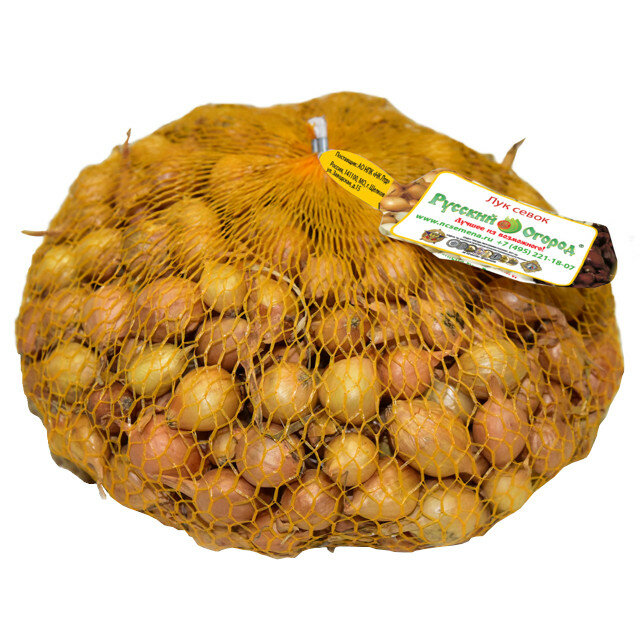 Лук-севок Штуттгартер ризен 14/22 05кг