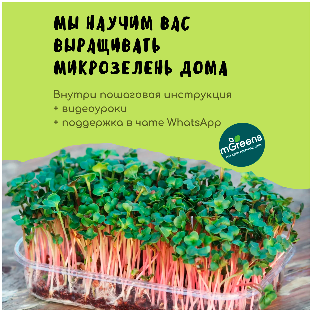 "Попробуй ВСЁ" микрозелень набор для выращивания 30 урожаев - фотография № 4