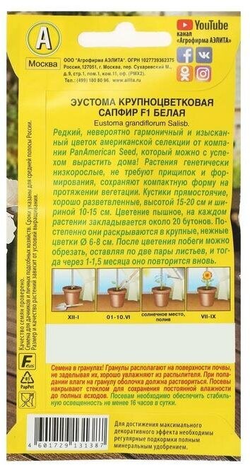 Агрофирма аэлита Семена Эустома "Сапфир" F1 белая крупноцветковая , 5шт