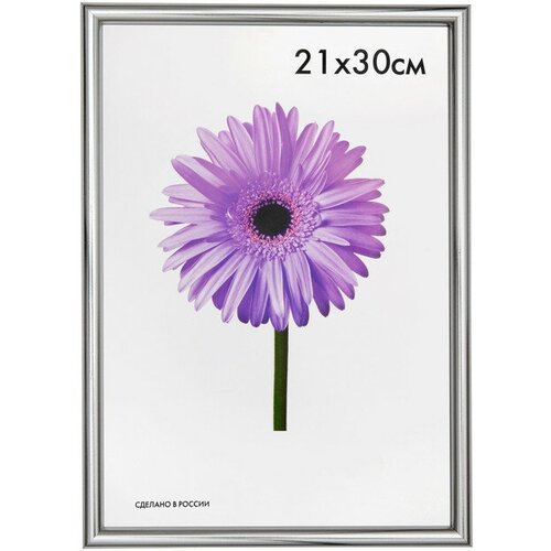 Фоторамка MARIA 210х300мм серебро пластик