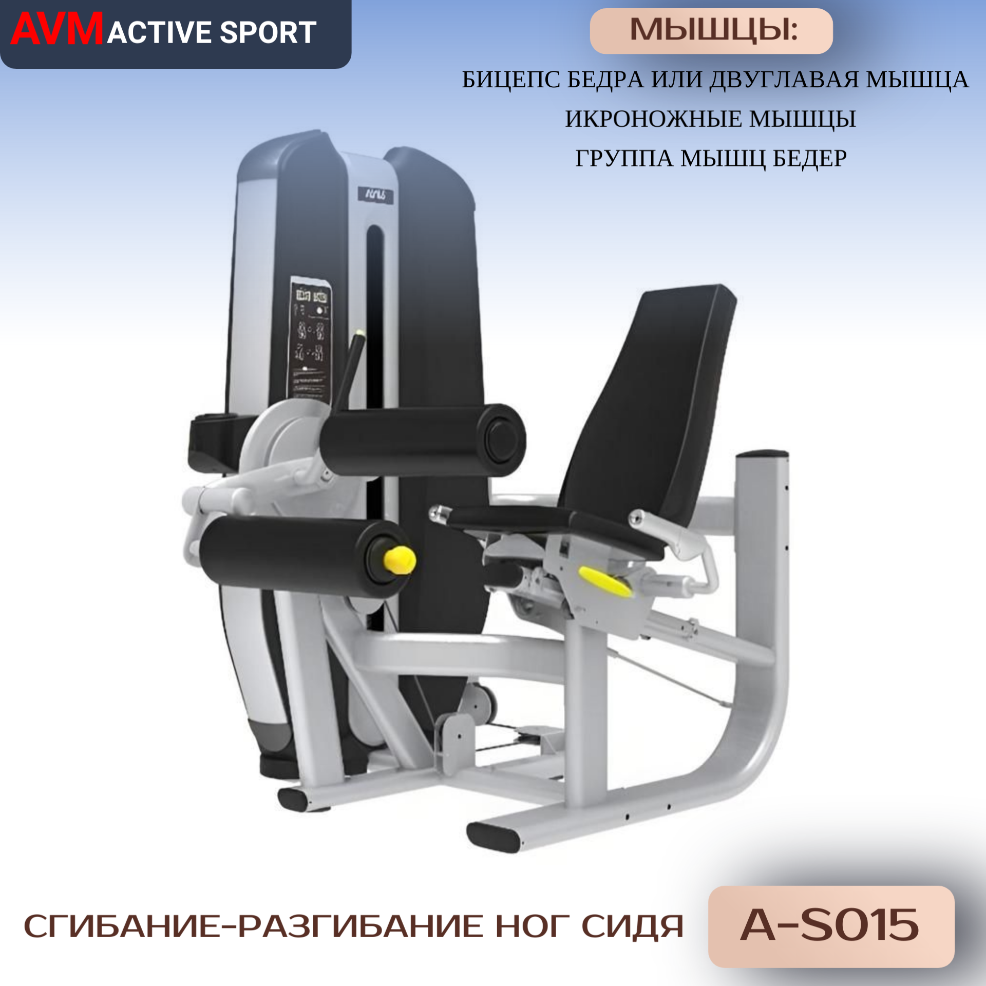 Профессиональный силовой тренажер для зала Сгибание-разгибание ног сидя AVM A-S015
