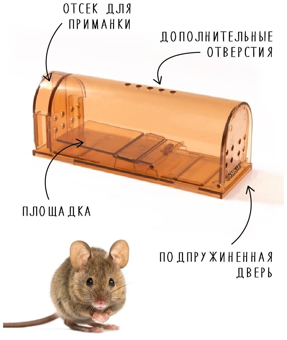 Мышеловка гуманная, живоловка для дома и дачи, (ловушка для мышей и кротов), комплект из 2 штук, коричневая - фотография № 2