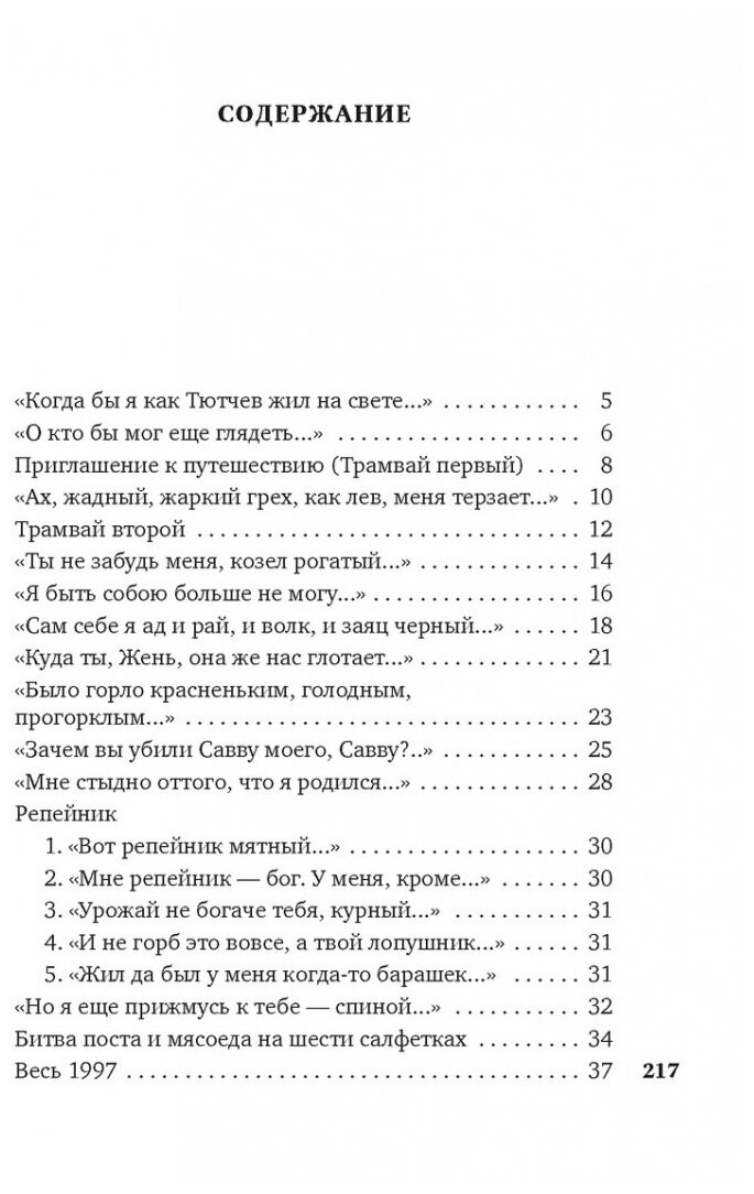 Небесная лиса (Воденников Дмитрий Борисович) - фото №15
