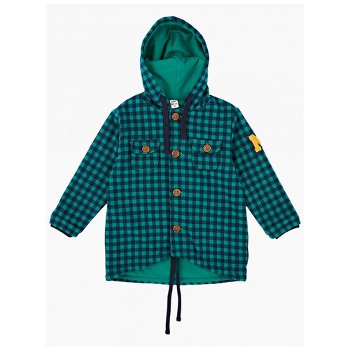фото Толстовка для мальчика mini maxi, модель 2058, цвет зеленый, размер 80