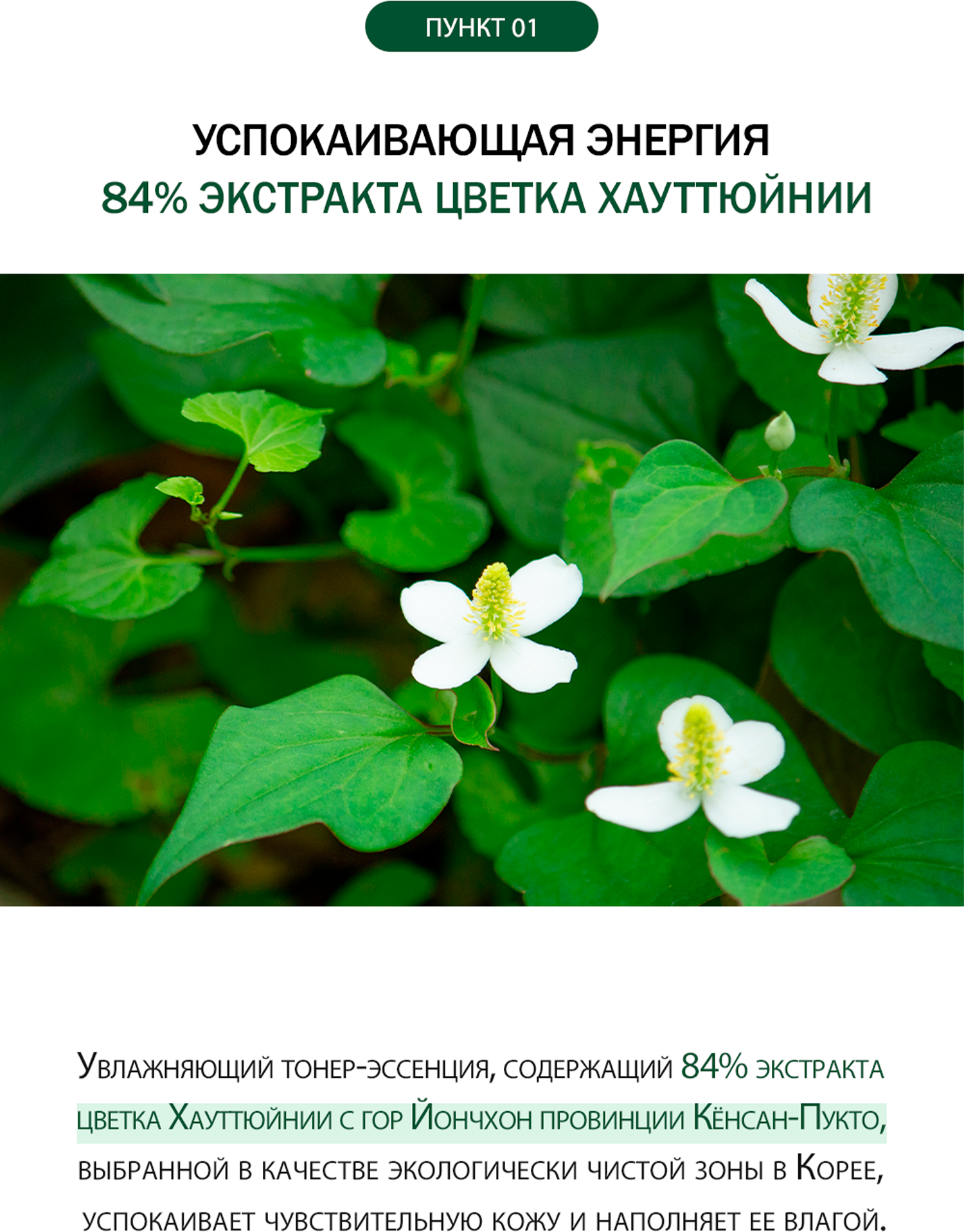 Сыворотка для лица с экстрактом цветка хауттюйнии Derma Factory Houttuynia Cordata 89% Serum - фото №6