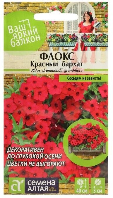 Семена цветов Флокс "Красный Бархат", Друммонда, Сем. Алт, ц/п, 0,1 г