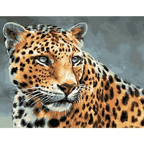 Картина по номерам Взгляд хищника 40х50 см Art Hobby Home картина по номерам взгляд хищника 40х50 см
