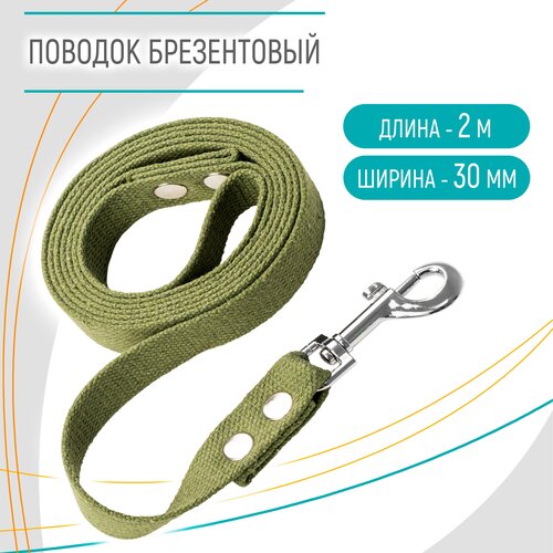 Поводок для собак брезентовый, длина 2 м ширина 30 мм , ZooMoDa .