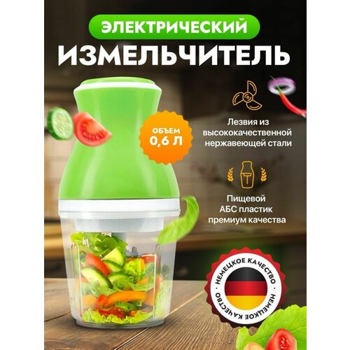 Измельчитель кухонный электрический 170000₽