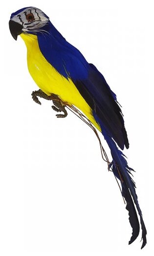 Попугай перьевой "Пират" малый пиратский на плечо, цвет желто-синий, размер 25 см. Пиратская вечеринка.
