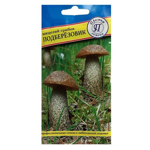 Мицелий грибов Престиж Семена Подберёзовик, 50 мл гриб подберёзовик мицелий распространенный и хорошо знакомый многим гриб выращивается на лиственной почве
