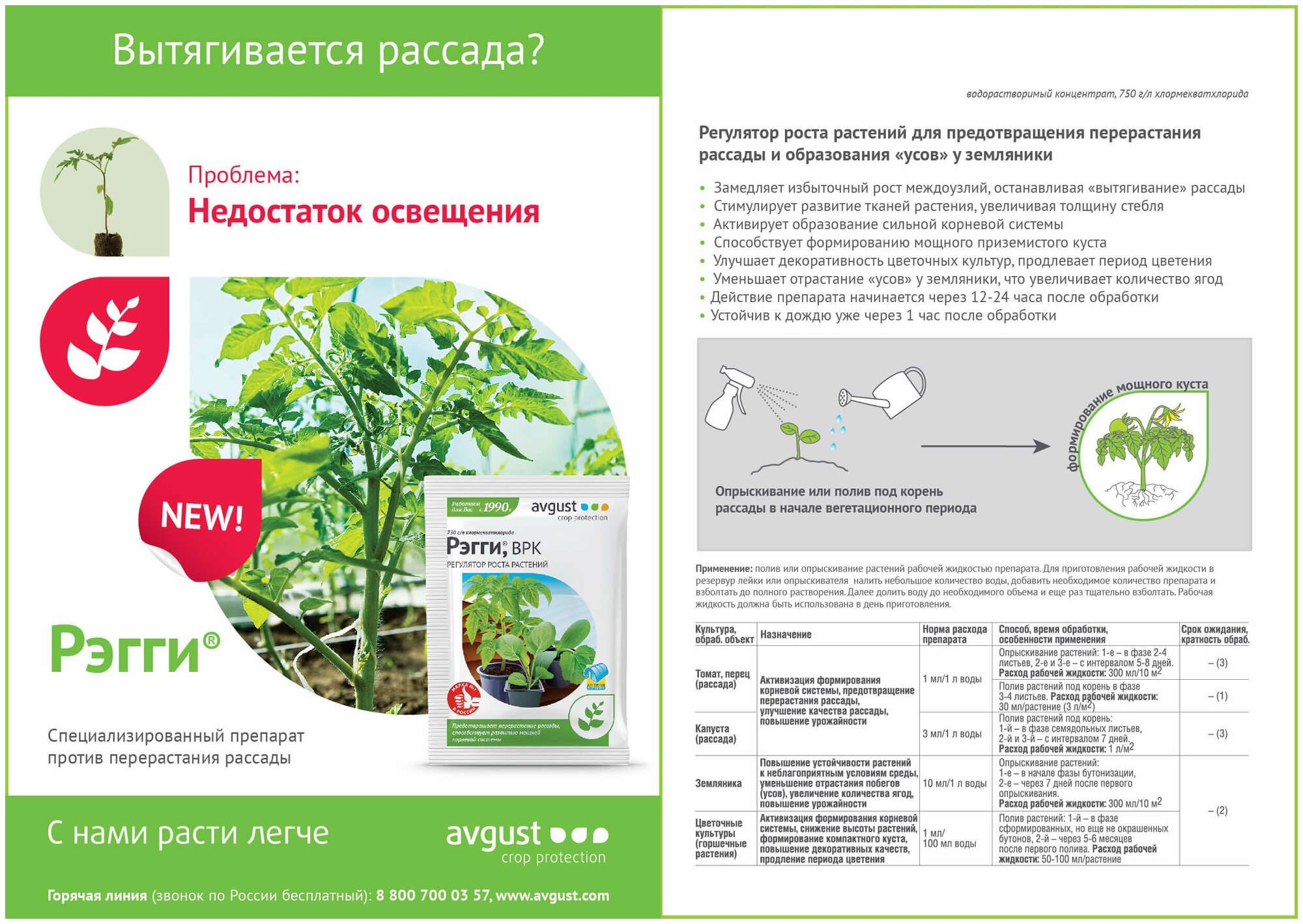 Рэгги 10мл N80 - фотография № 9