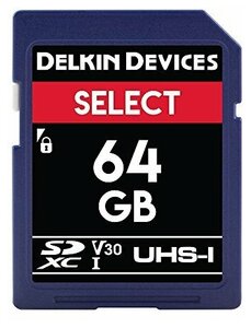 Фото Карта памяти Delkin Devices Select SDXC 64GB UHS-I V10