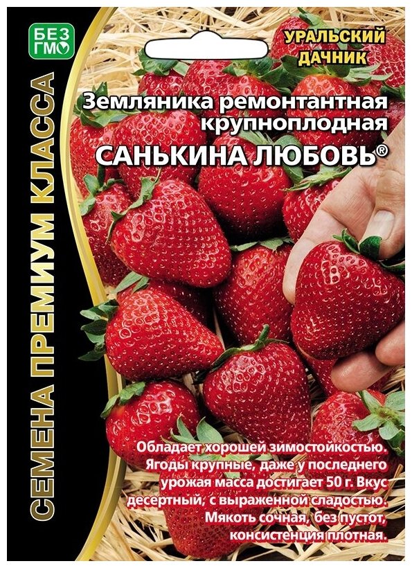 Семена Земляники ремонтантной крупноплодной "Санькина любовь"(6 семян)