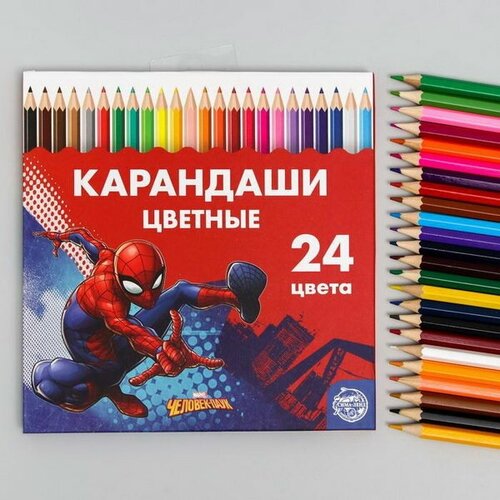 Карандаши 24 цвета, заточенные, шестигранные, картонная упаковка, европодвес, 