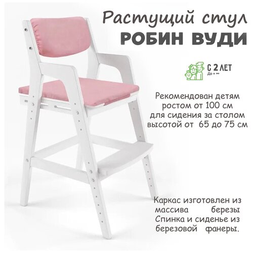 Детский растущий стул "Вуди" с подушками (38 Попугаев), цвет Белый/розовый