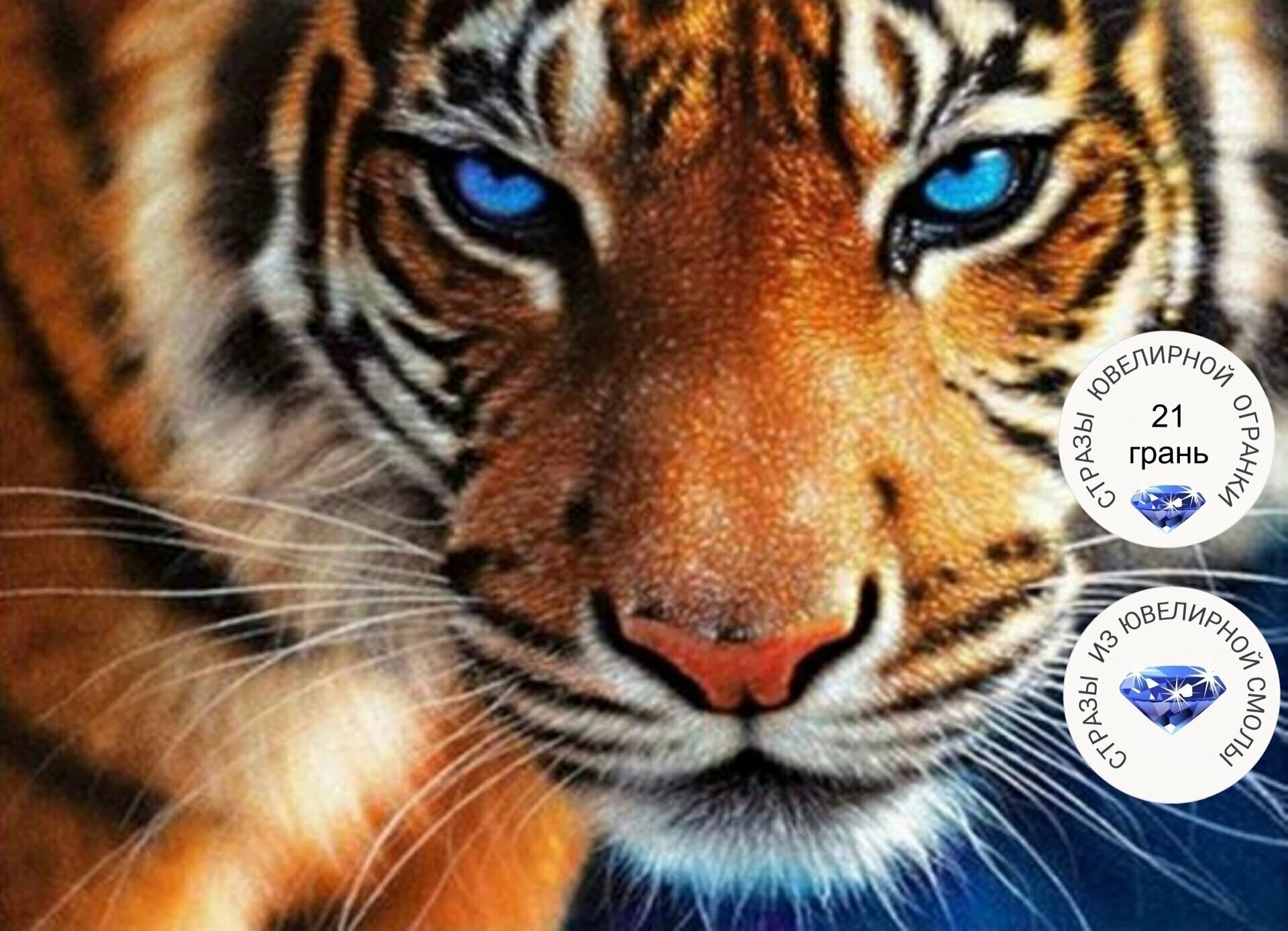 Алмазная мозаика на подрамнике 40х30 премиум Голубоглазый тигр