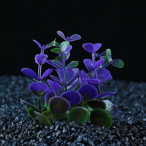 Растение искусственное аквариумное кустовое, 10 см, фиолетовое пластиковое африканское фиолетовое искусственное растение с вазой набор из 2 фиолетовое