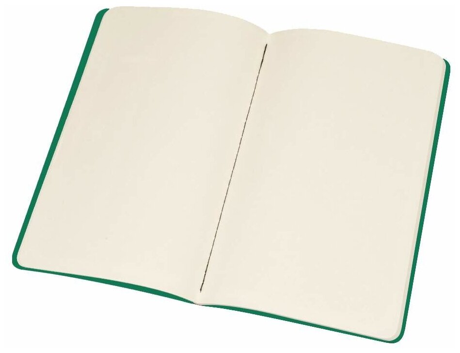 Блокнот Moleskine CLASSIC SOFT XLarge 190х250мм 192стр. нелинованный мягкая обложка зеленый 6 шт./кор. - фото №4