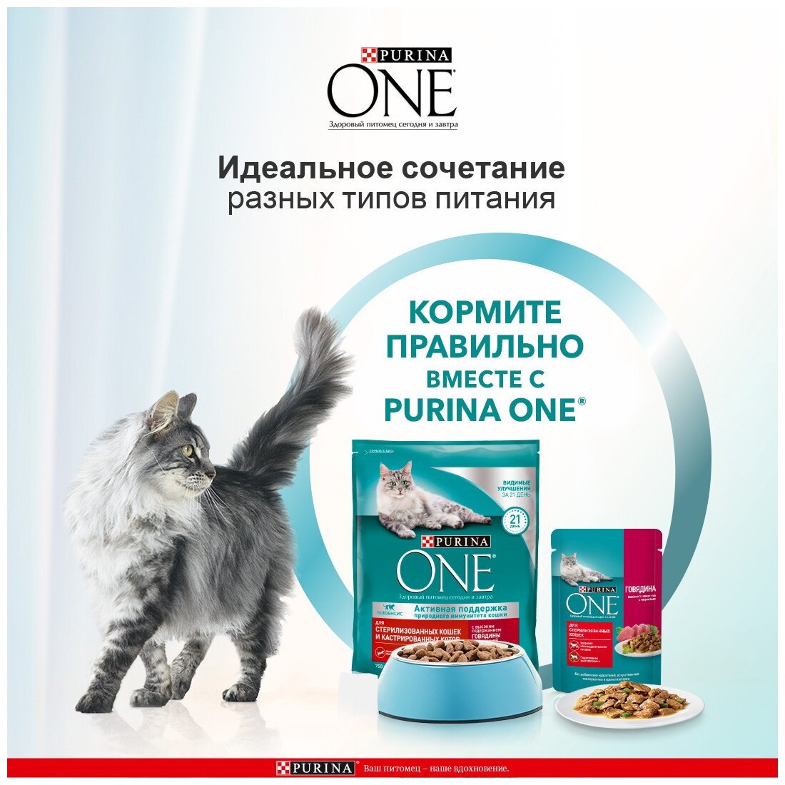 Сухой корм Purina ONE для стерилизованных кошек и котов с говядиной и пшеницей пакет 750г, для взрослых кошек - фотография № 19