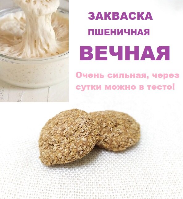 Закваска пшеничная вечная для хлеба / дикие дрожжи