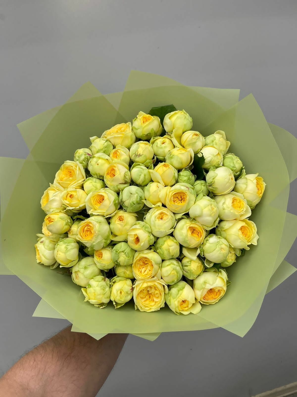 Роза, пионовидная роза, кустовая роза, цветы свежесрезанные 40 см