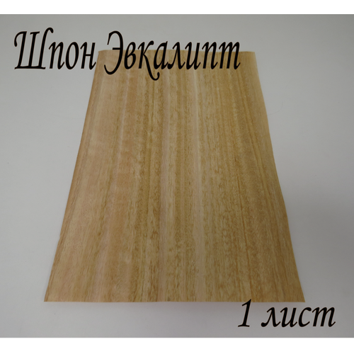 Шпон натуральный, Эвкалипт 0.6мм, 1 лист
