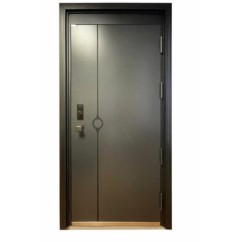 Двери с электронным замком Баяр Двери с распознаванием лица баяр К2