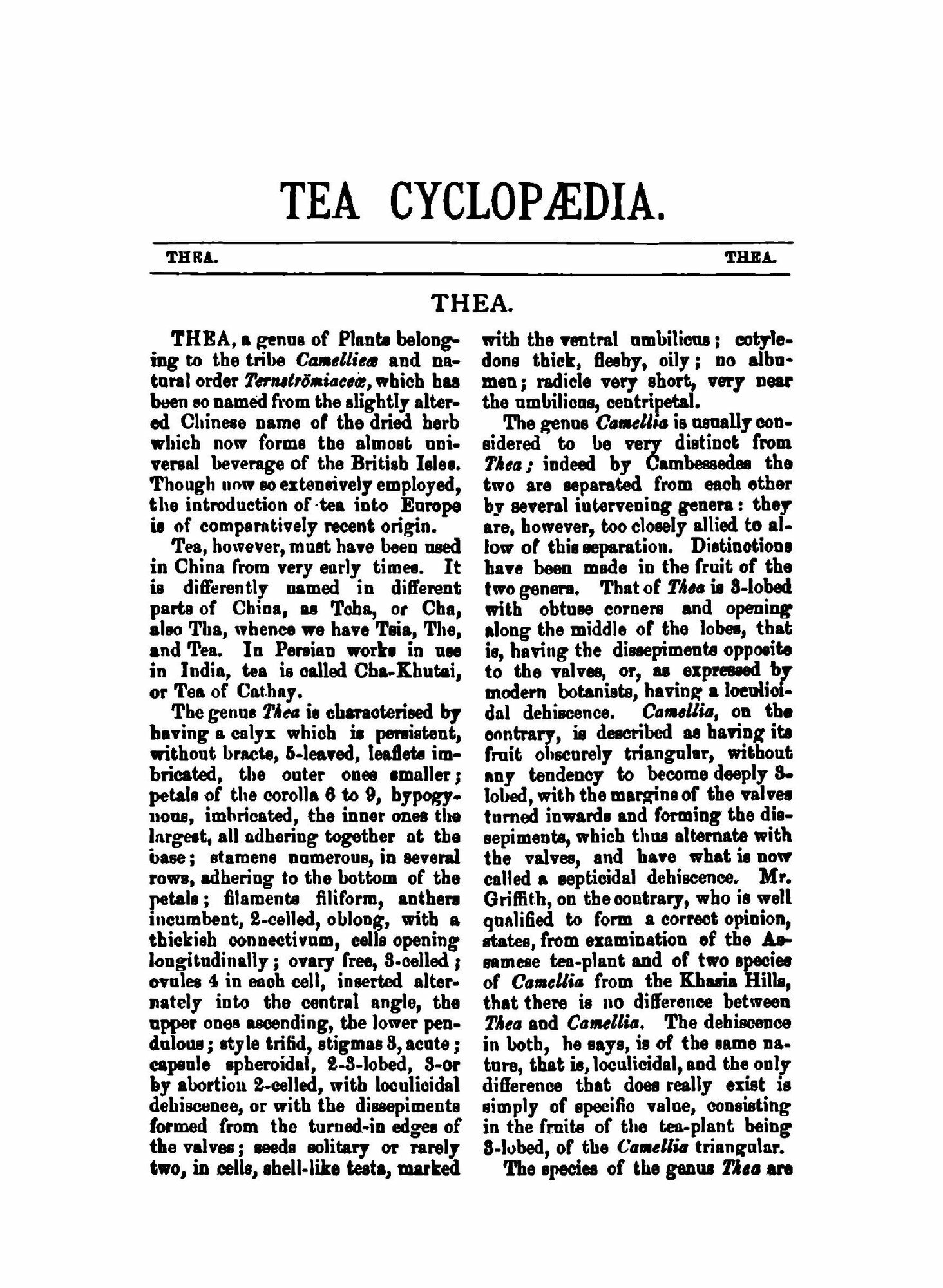 The tea cyclopaedia (Indian Tea Gagette) - фото №8