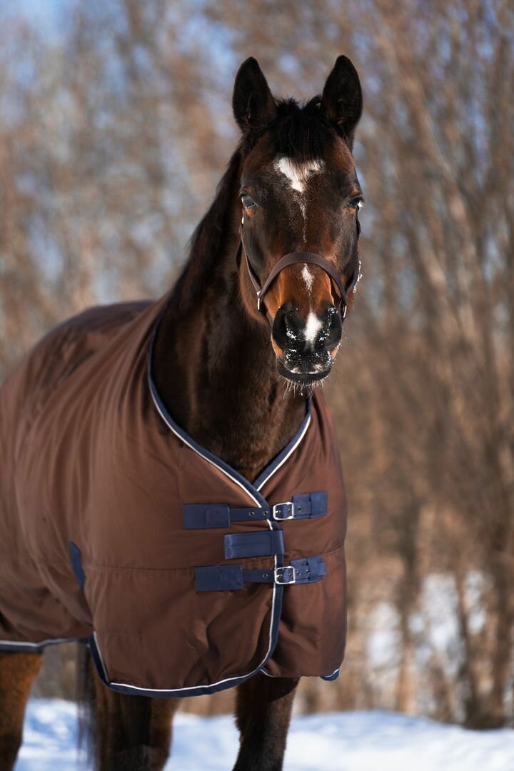 Попона денниковая на флисе FLEECE-LINED, коричневый (размер 155)