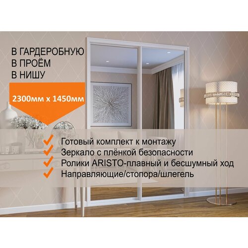 Двери для гардеробных и шкафов купе, зеркальные, в проём 2300х1450мм. Комплект 2шт.